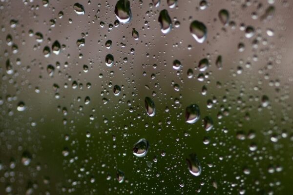 What are the best indoor activities in Florence for rainy days with toddlers?