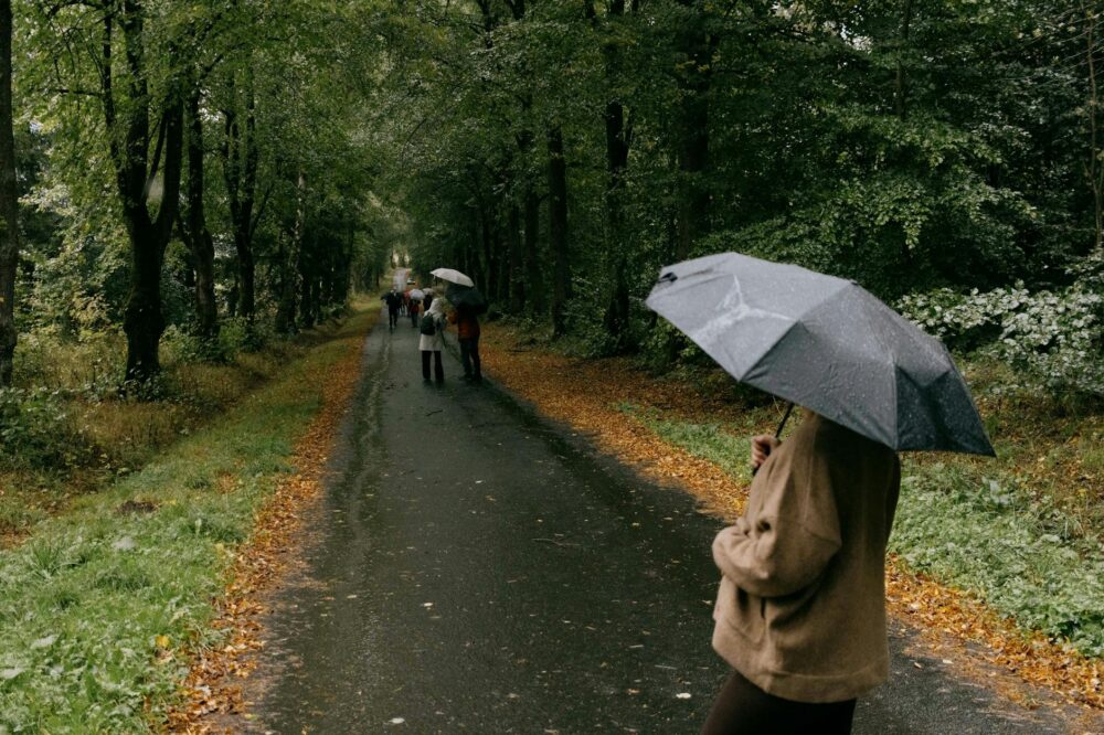What are the best indoor activities in Paris for families on a rainy day?