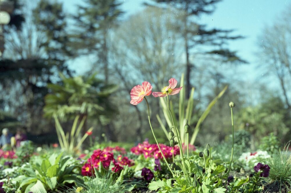 What are the best parks and gardens in Toulouse?