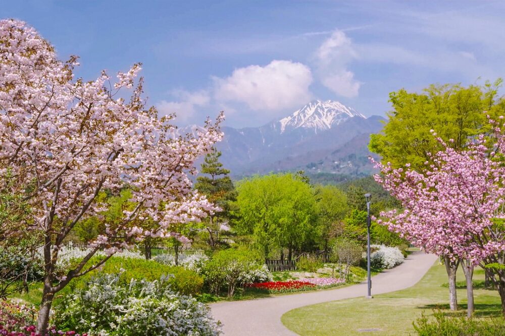 What are the best parks in Barcelona to visit in spring?