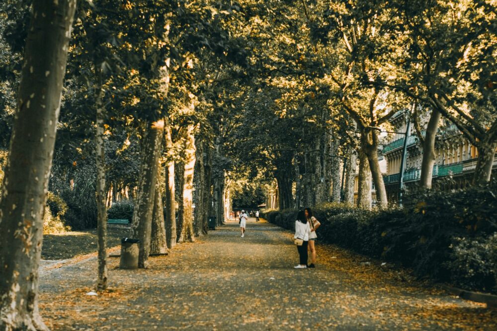 What are the best running routes in Toulouse?