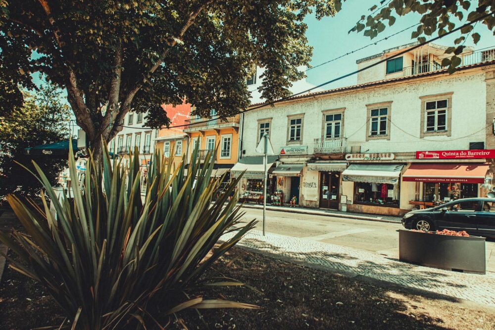What are the best shopping areas in Toulouse?