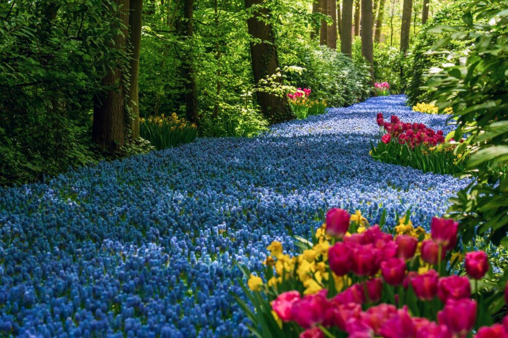 What are the best spring gardens in Paris?