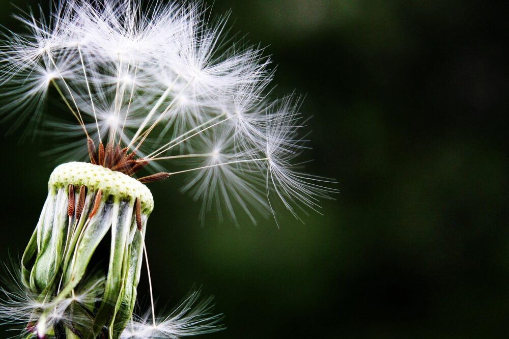 What are the best spring photography tours in Barcelona?