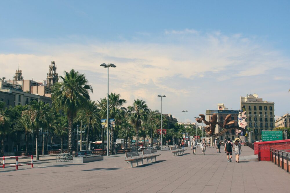 What are the best spring spots for bird watching in Barcelona?