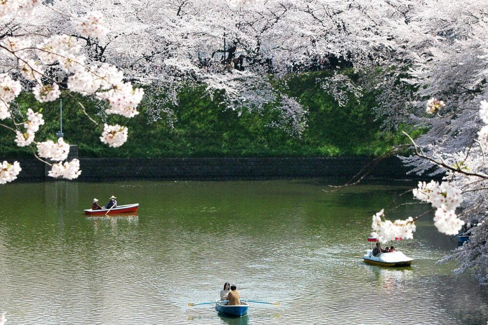 What are the best spring views in Paris?