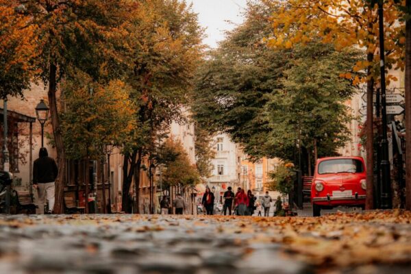 What are the best vegetarian restaurants in Montpellier in 2026?