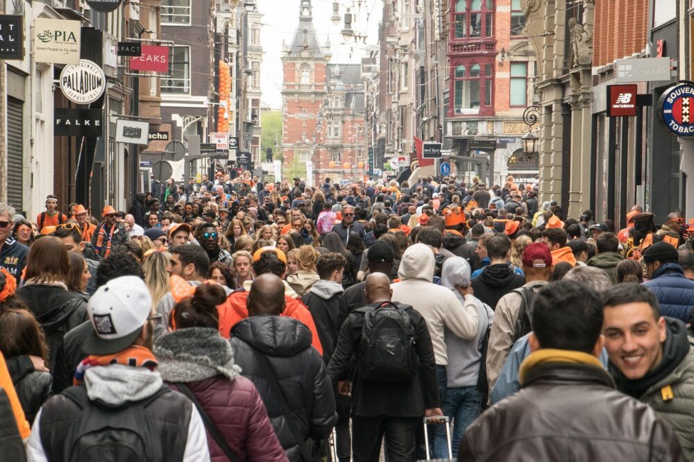 What are the career services offered at Amsterdam universities?