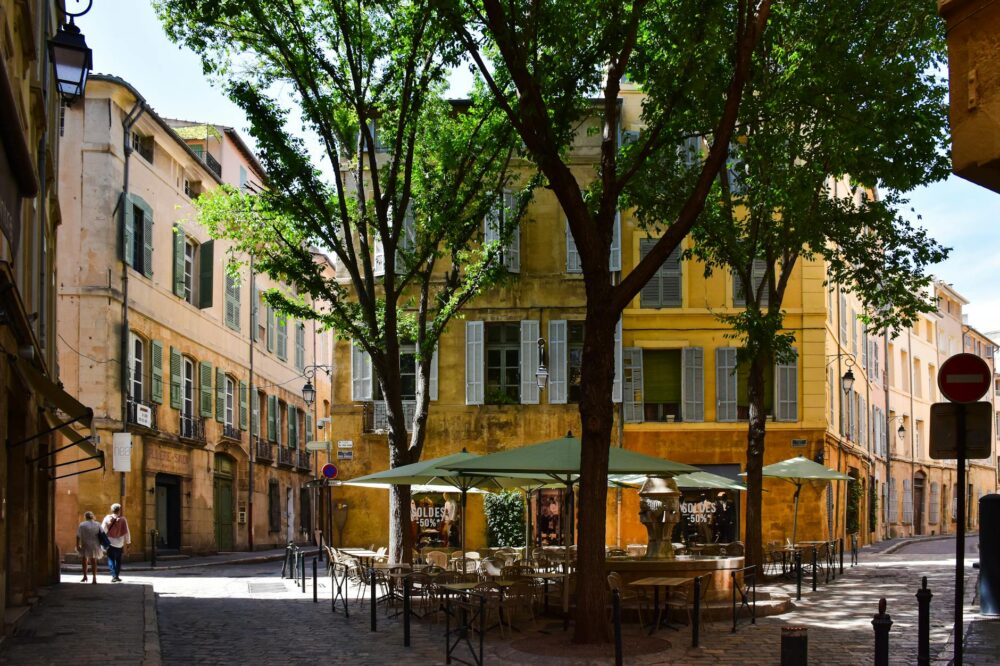 What are the IUTs in Lyon and their programs?