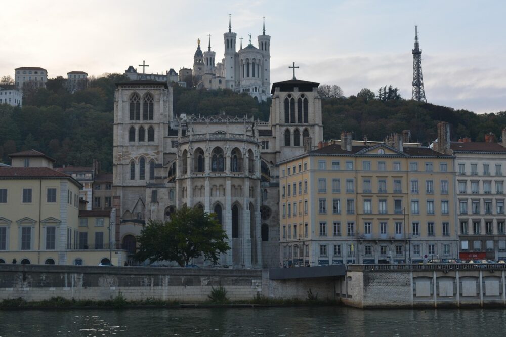 What are the IUTs in Lyon and their programs?