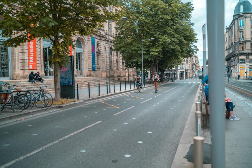 What are the joint programs between Lyon universities?
