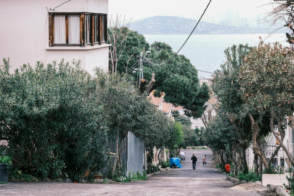 What are the most affordable hotels in Istanbul near Grand Bazaar?