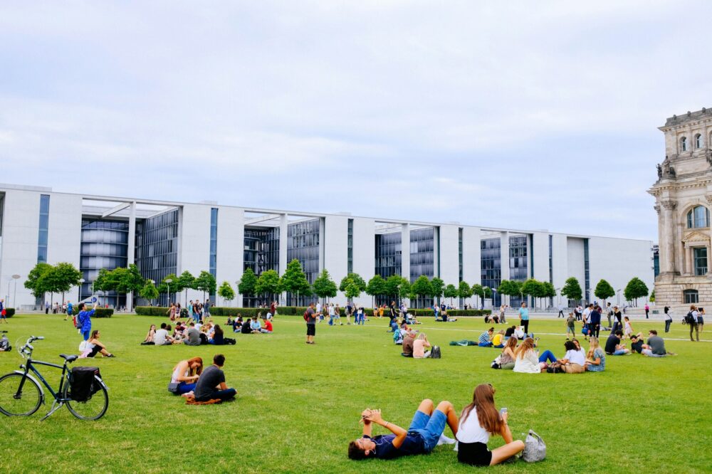 What are the most popular majors at University of Montpellier?