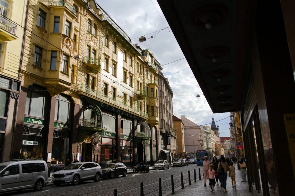 What are the PhD programs at Tor Vergata?