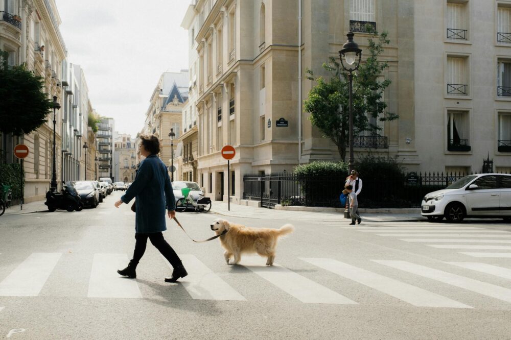 What are the top-rated boutique hotels in Paris for solo travelers?