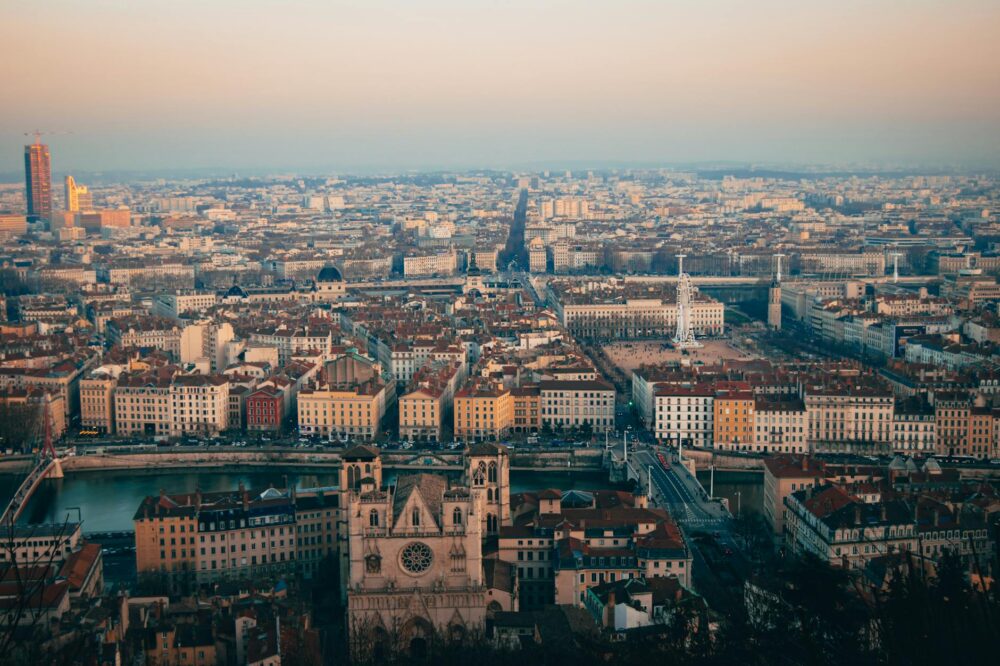 What are the top-rated courses at Lyon 2 University?