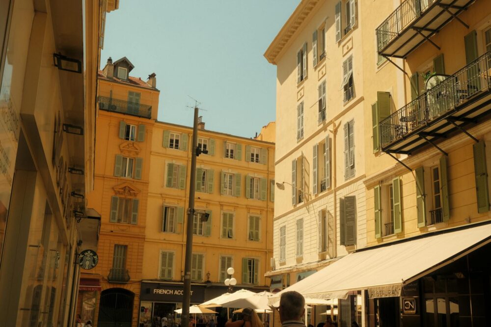 What are the volunteer opportunities in Nice for students