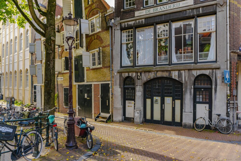 What is the student support services at Amsterdam University College?