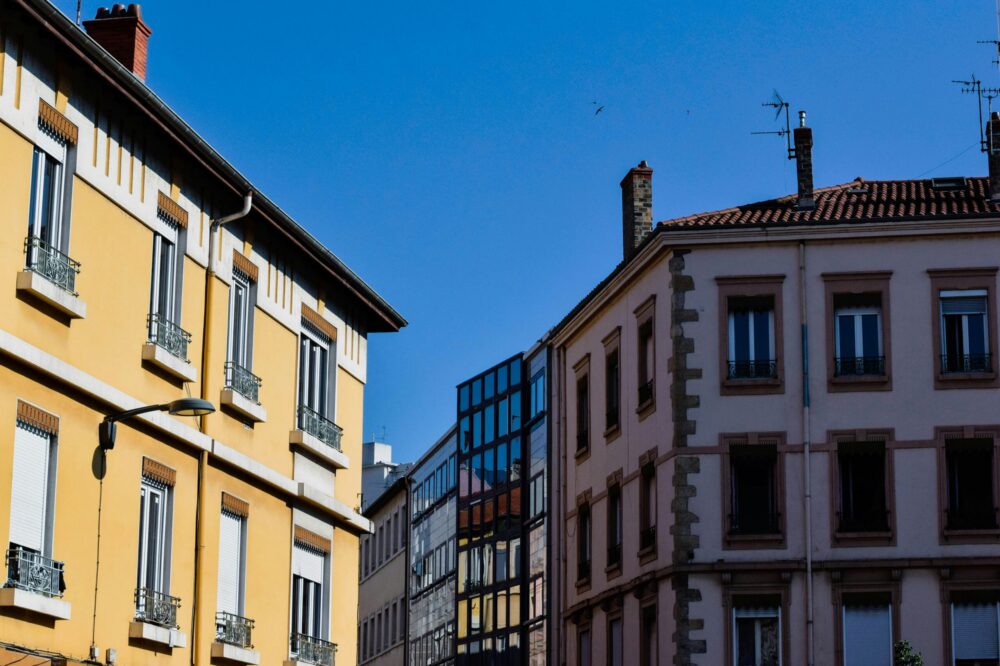 What language exchange programs exist in Lyon?