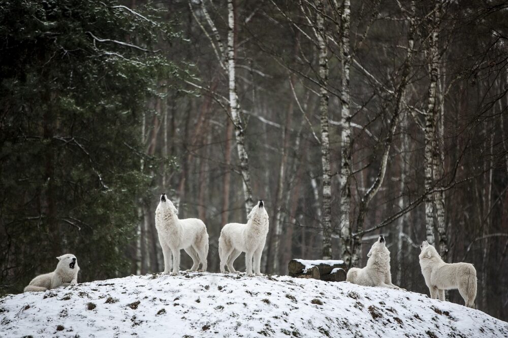 What should I pack for a spring trip to Paris?