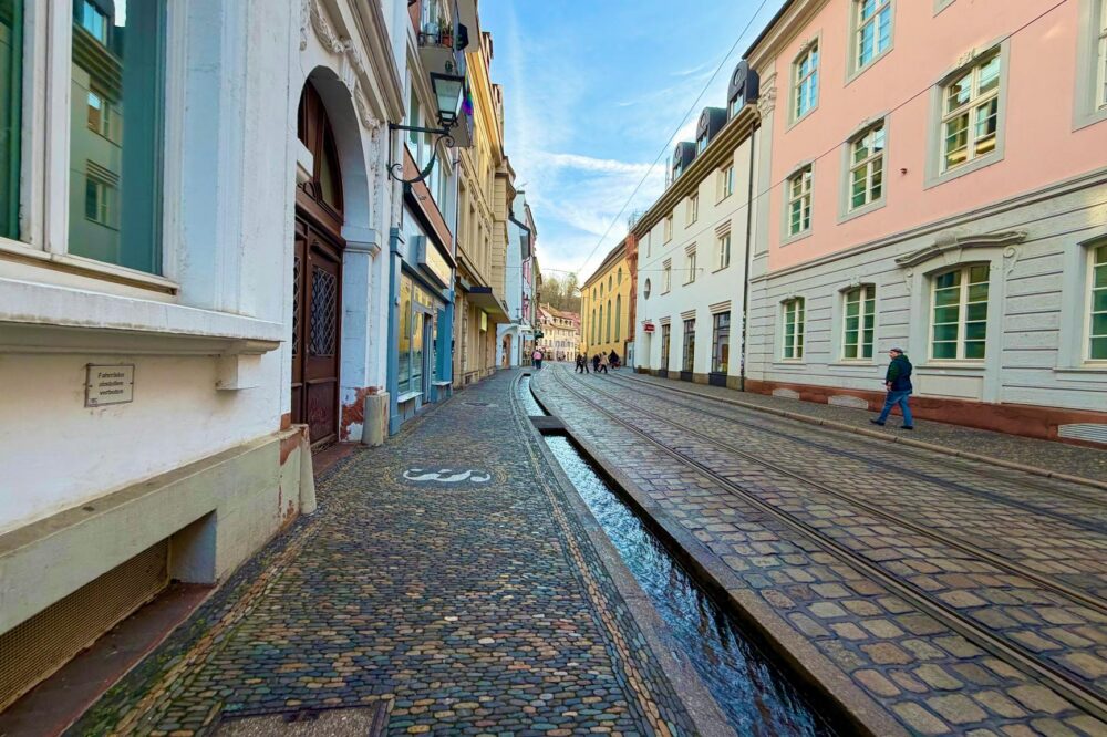 Where to eat the best foie gras in Strasbourg 2026?
