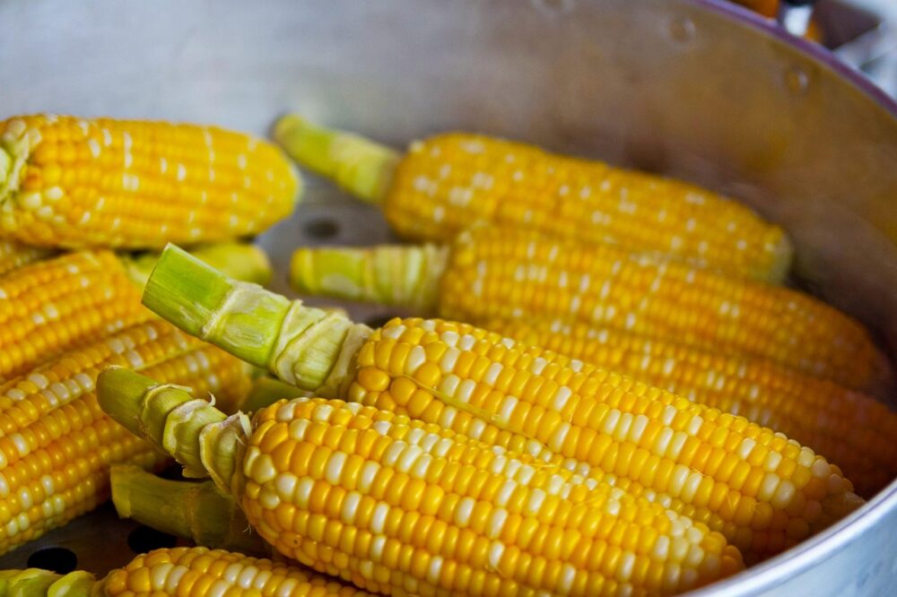 Where to eat the best matelote in Strasbourg 2026?