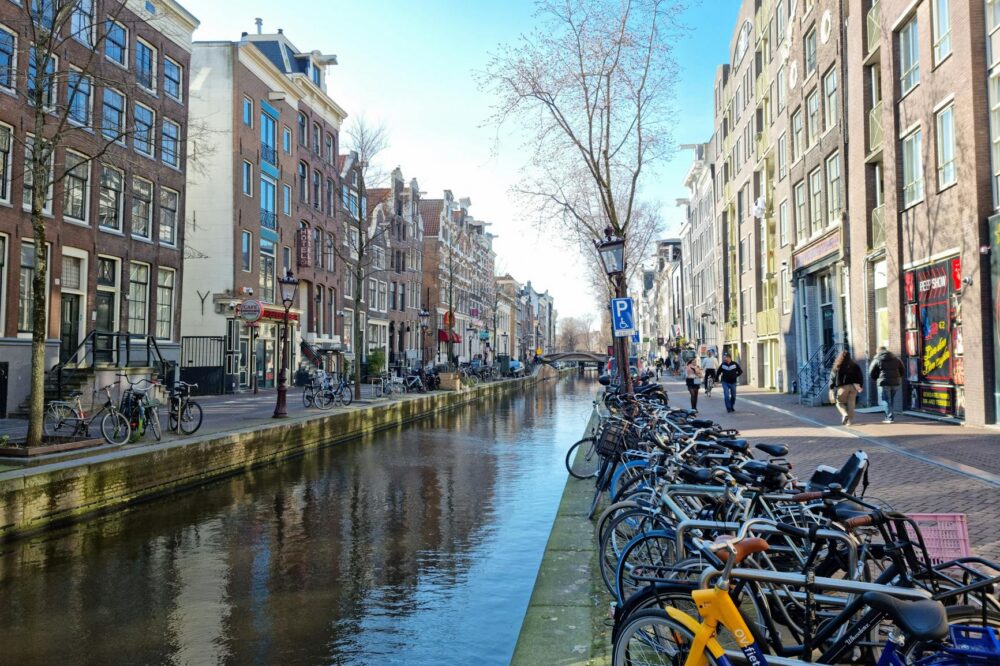 Where to find pet-friendly cafes in Amsterdam in 2026?