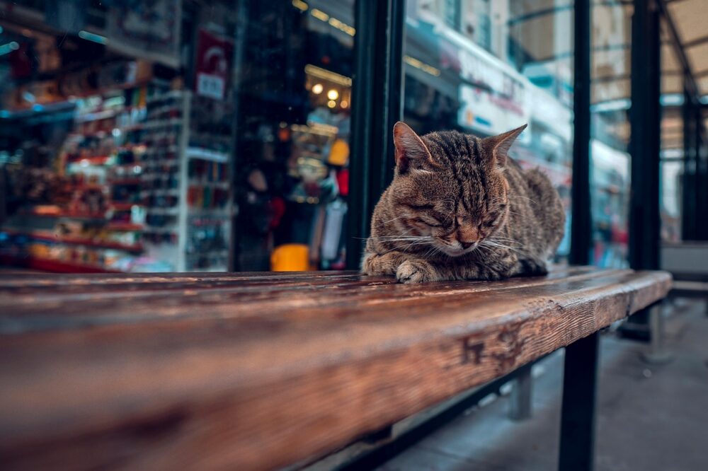 Where to find the best iced latte in Istanbul?