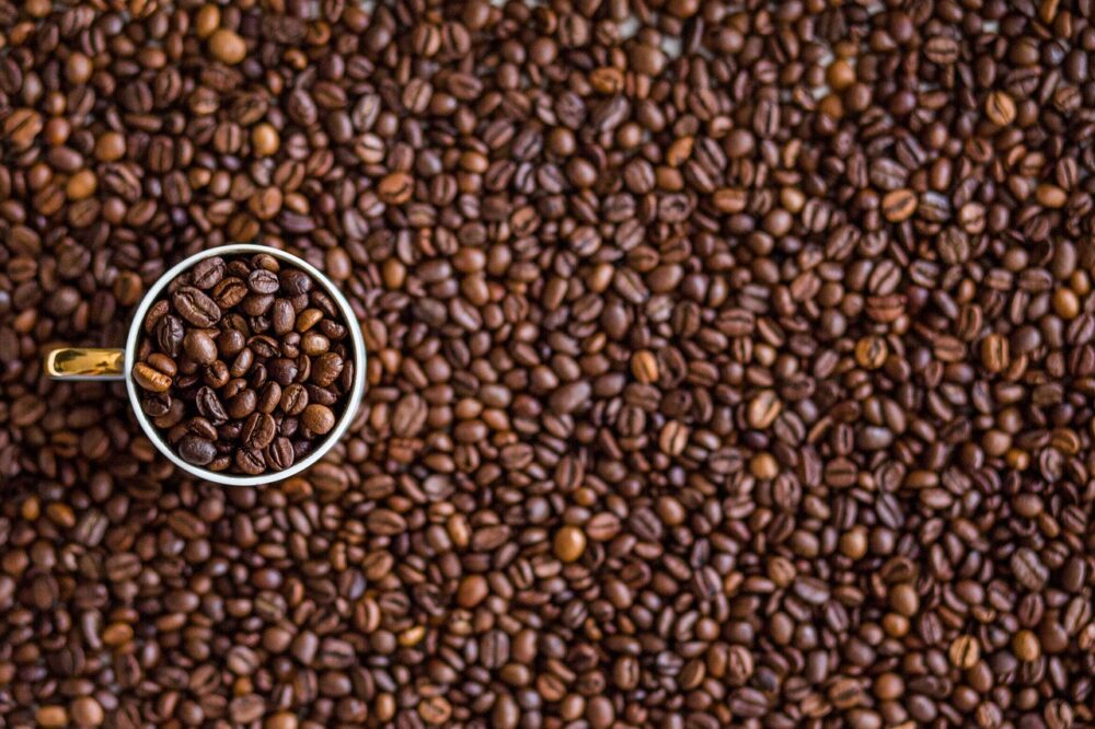 Where to get the best iced coffee in Lyon cafes in 2026?
