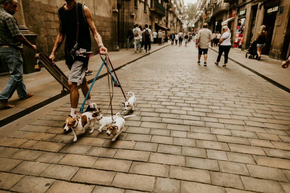 Which 5 star hotels in Barcelona are pet-friendly?