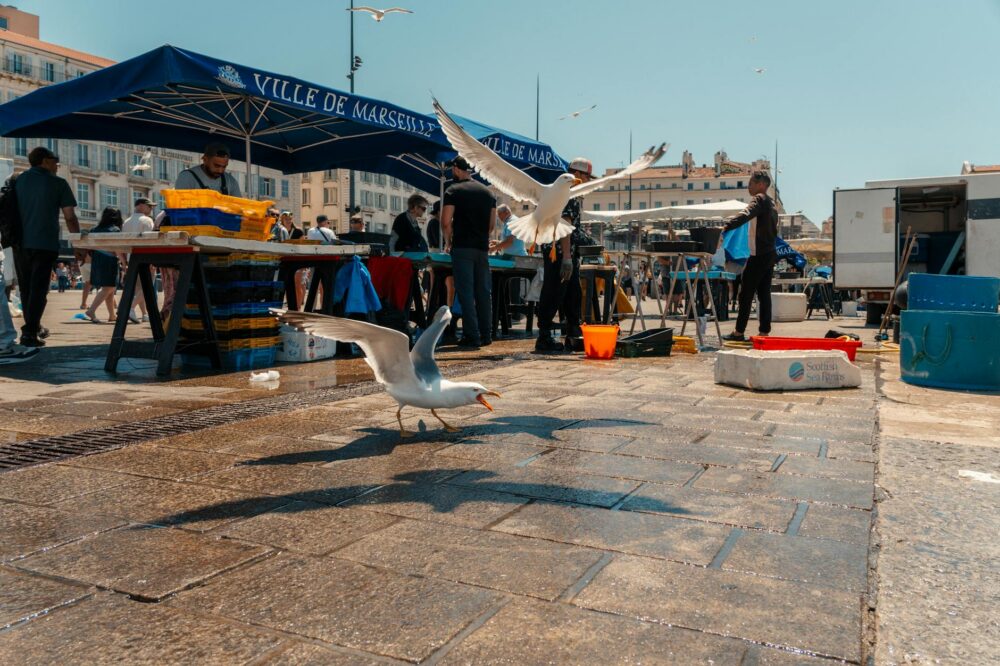 Which 5 star hotels in Marseille have the best fitness center?