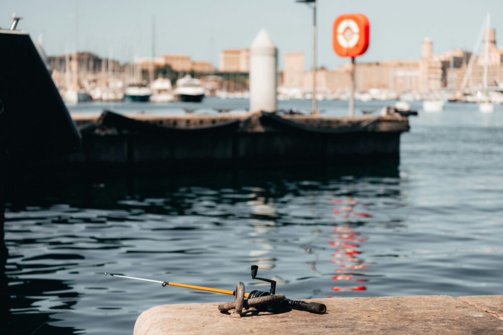 Which 5 star hotels in Marseille offer private dining?