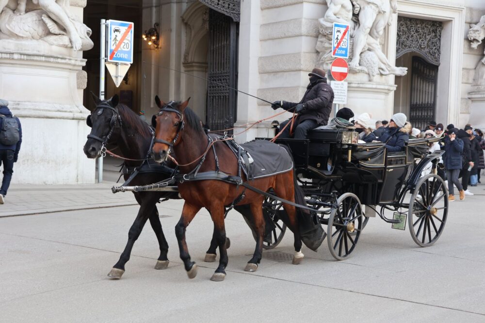 Which 5 star hotels in Toulouse offer concierge services?