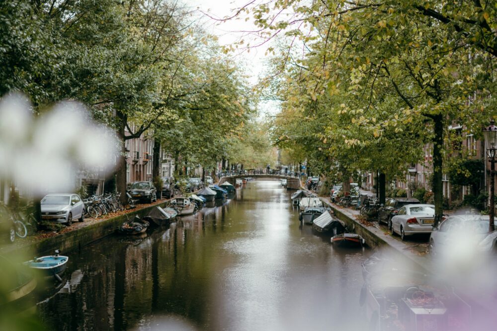 Which Amsterdam cafes have the best iced coffee in 2026?