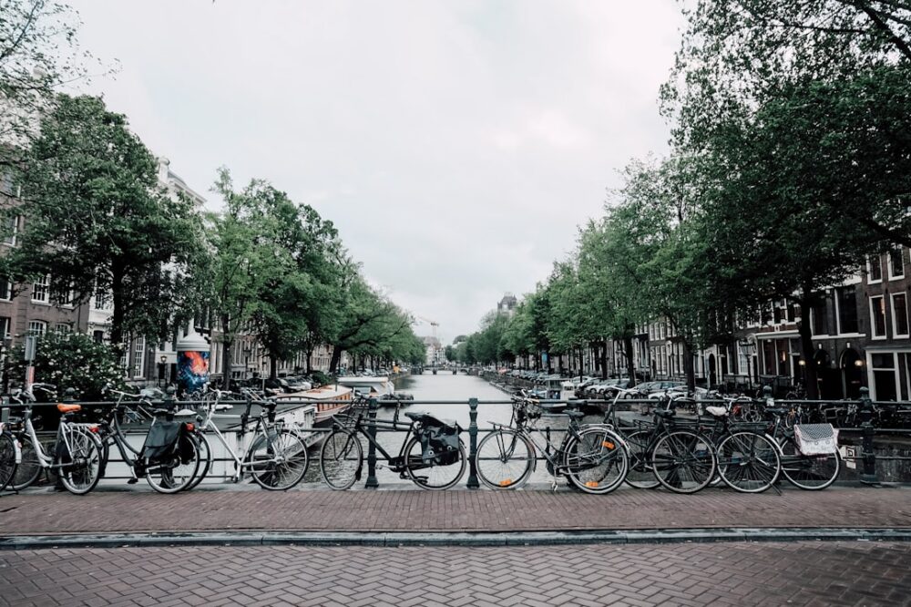 Which Amsterdam cafes offer organic coffee in 2026?