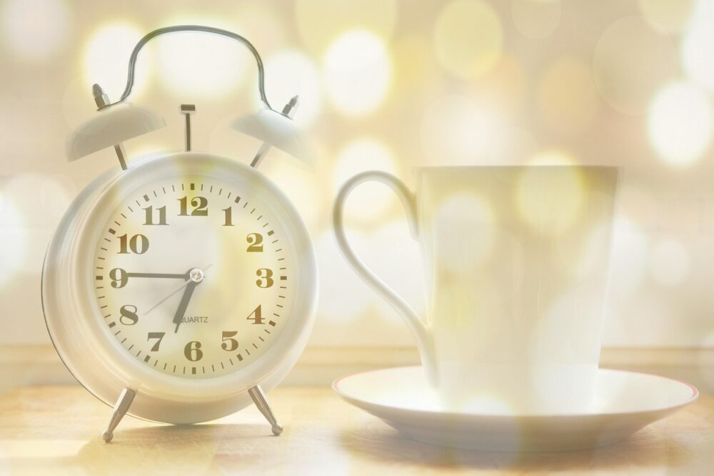 Which budget hotels in Amsterdam have a 24-hour reception?