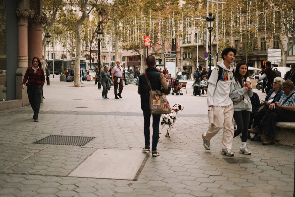 Which budget hotels in Barcelona offer airport shuttle service?