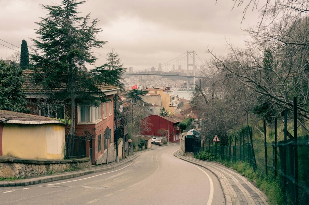 Which budget hotels in Istanbul have a rooftop bar?