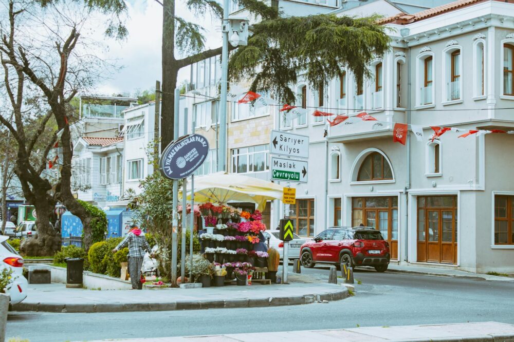 Which budget hotels in Istanbul offer free city maps?