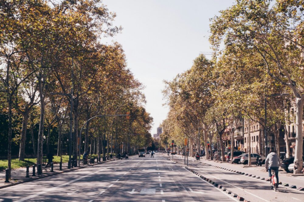 Which cafes in Barcelona offer the best coffee classes in 2026?