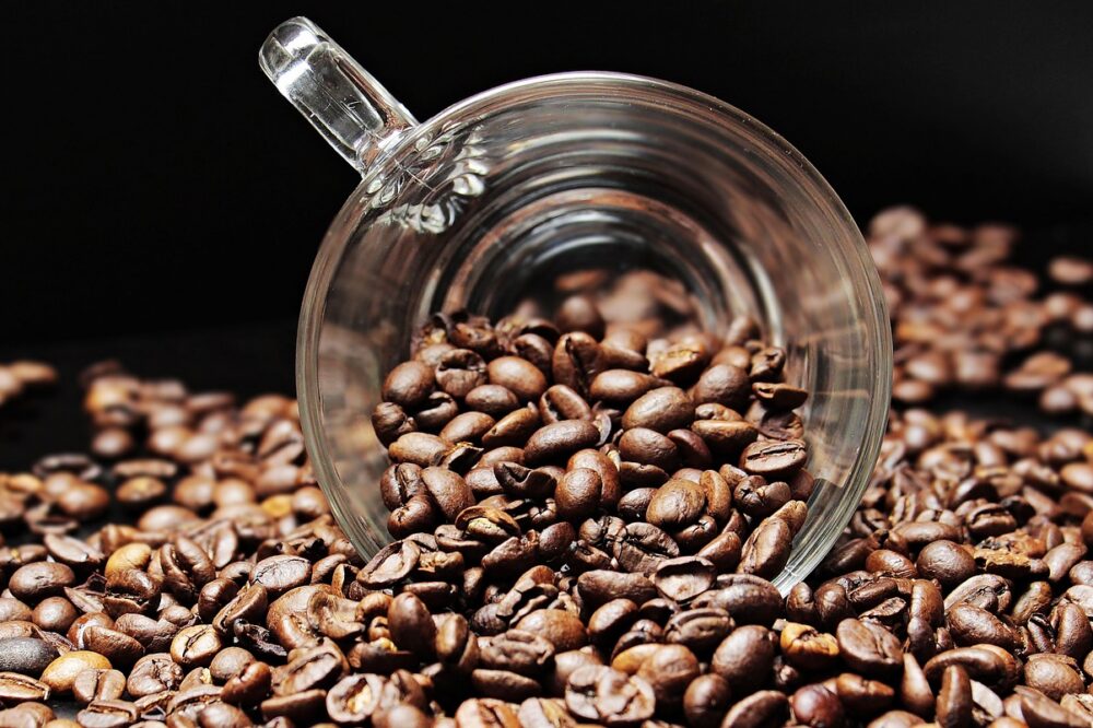 Which cafes in Florence offer coffee and art in 2026?