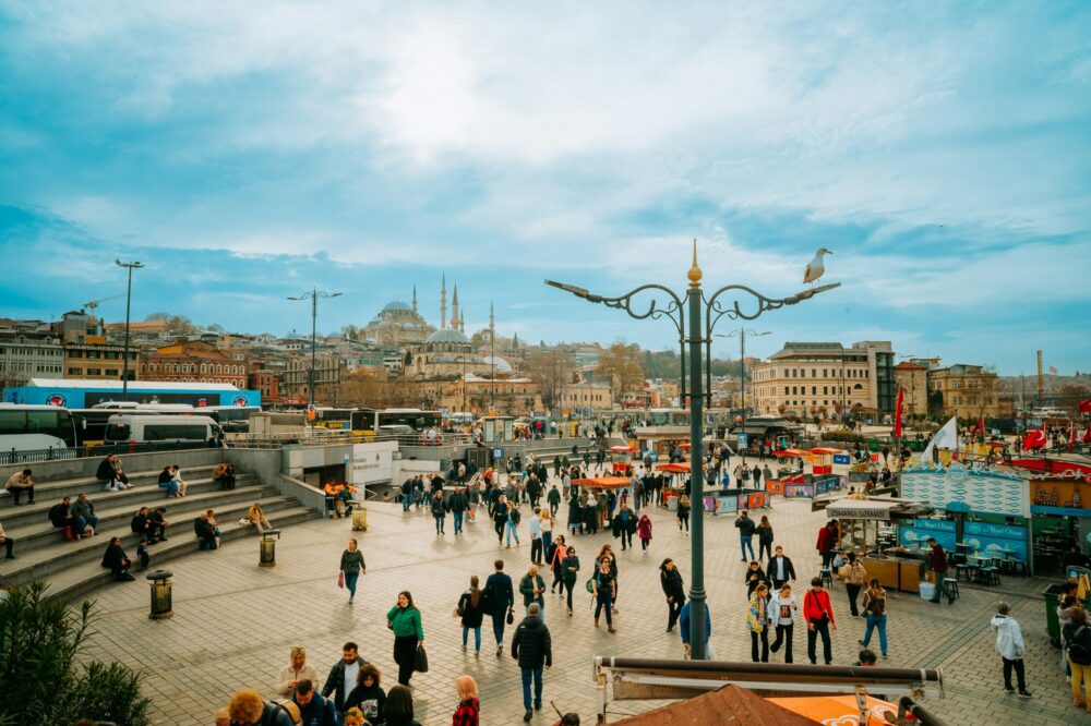 Which cafes in Istanbul are pet-friendly?