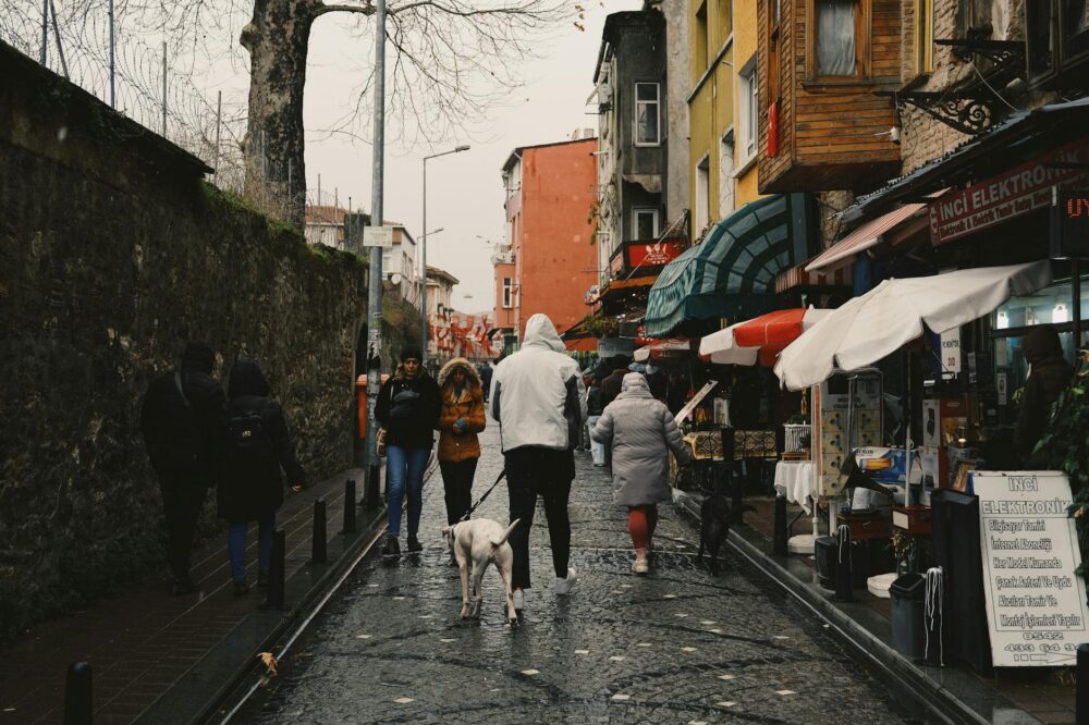 Which cafes in Istanbul have free Wi-Fi?