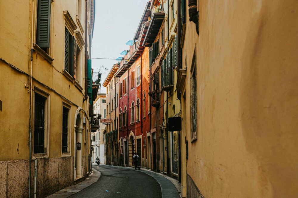 Which cafes in Nice have a pet-friendly policy?