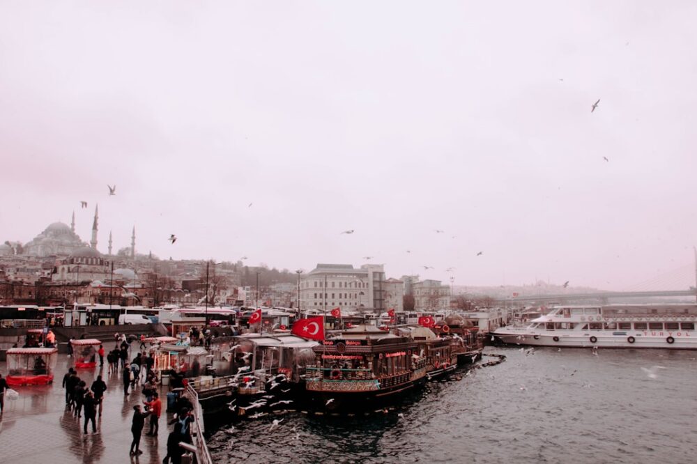 Which hotels in Istanbul are pet-friendly?