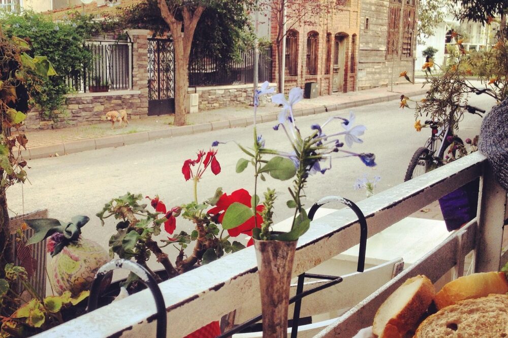 Which Istanbul cafes offer coffee tasting flights?