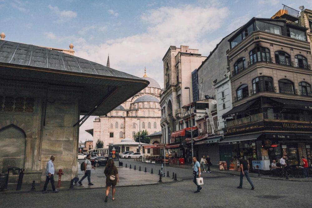 Which Istanbul hotels allow pets for solo travelers?
