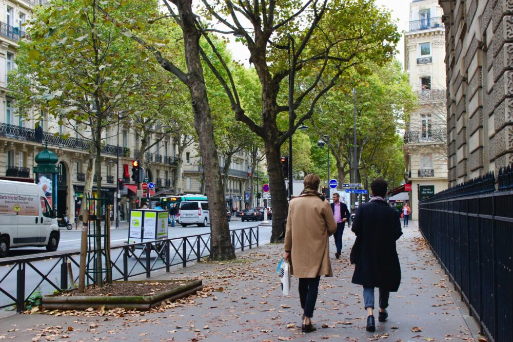 Which Paris cafes have the best croque monsieur in 2026?